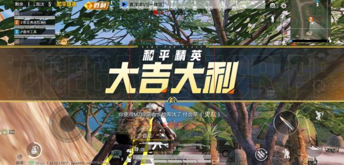 和平精英范围外挂是什么（和平精英外挂是有什么效果）